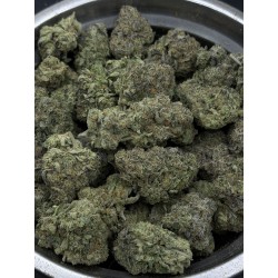 Vanilla Ice Cream | กัญชา Top Shelf Hybrid - THC 22%