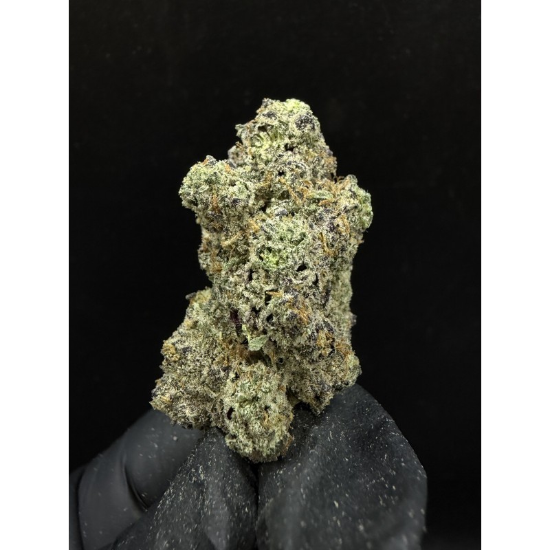 Sweedz Exotica Flower JordanZ