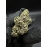 JordanZ | กัญชา EXOTICA Hybrid - THC 27% | ส่งในกรุงเทพ