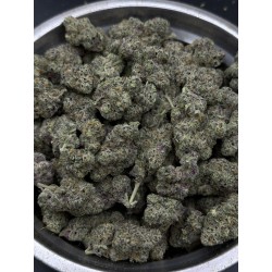 JordanZ | กัญชา EXOTICA Hybrid - THC 27% | ส่งในกรุงเทพ