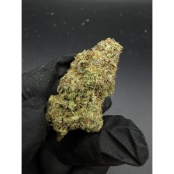 Permanent Sherb | กัญชา EXOTICA Hybrid - THC 27%