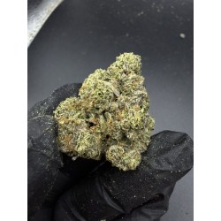 Sweedz Exotica Flower Pink Lady