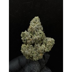 Sweedz Exotica Flower Pink Lady