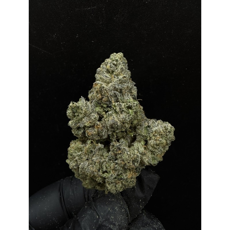 Sweedz Exotica Flower Pink Lady