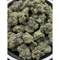 Pink Lady | กัญชา EXOTICA Hybrid Sativa - THC 24%