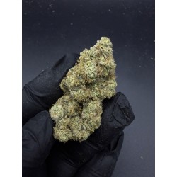 Chronic Cake (THC 26%) - Hybrid Indica ระดับพรีเมียม | Sweedz