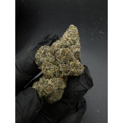 Magic Ztrawz Strain (THC 29%) - Ultra Potent Hybrid | Sweedz | Delivery in Bangkok