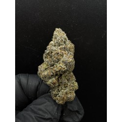 Sweedz Exotica Flower Magic Ztrawz