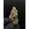 Sweedz Exotica Flower Magic Ztrawz