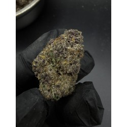 Super Buff Cherry (THC 27%) - Hybrid เกรดพรีเมียม | Sweedz