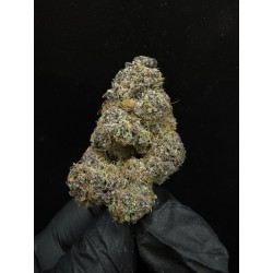 Sweedz Flower Exotica Super Buff Cherry