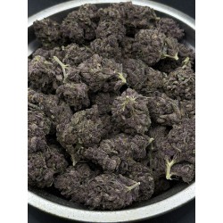 Miami Madness | ดอกไฮบริดอินดิก้า - รสเบอร์รี่และกระตุ้นความคิดสร้างสรรค์