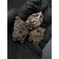 Sweedz Mid Grade Flower Miami Madness