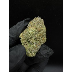 Ztrawberry (THC 22%) | ไฮบริด - รสหวานเบอร์รี่และผ่อนคลายร่างกาย