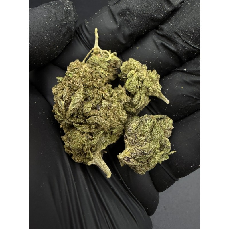 Godfather OG Mid Grade | ดอกกัญชามาตรฐานสวิสในกรุงเทพฯ