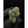Purple Punch Top Shelf | อินดิก้า THC 22% กรุงเทพฯ