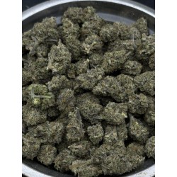 Frozen Apple Exotica | ไฮบริดซาติว่า THC 25%