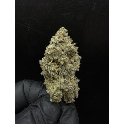 Sweedz Flowers Exotica Imperium X