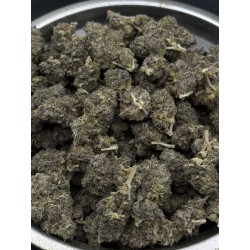 Lemon Orange Exotica | ซาติว่า THC 28%