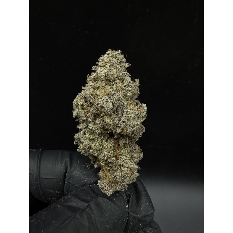 Sweedz Flowers Exotica Lemon Orange