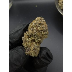 Nola Monsoon Exotica | ไฮบริด THC 27%