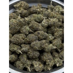 Nola Monsoon Exotica | ไฮบริด THC 27%