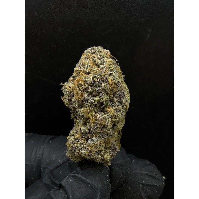 Sweedz Flowers Exotica Nola Monsoon