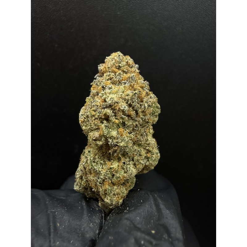 Siam Brandy Exotica | ไฮบริดซาติว่า THC 28%