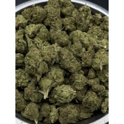 Grandmaster Sexy Mid Grade | ไฮบริดอินดิก้า กรุงเทพฯ