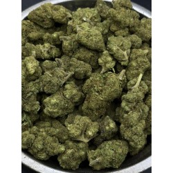 Ice Cream Cake Mid Grade | ไฮบริดอินดิก้า กรุงเทพฯ