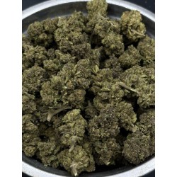 Red Devil Mid Grade | ไฮบริด กรุงเทพฯ