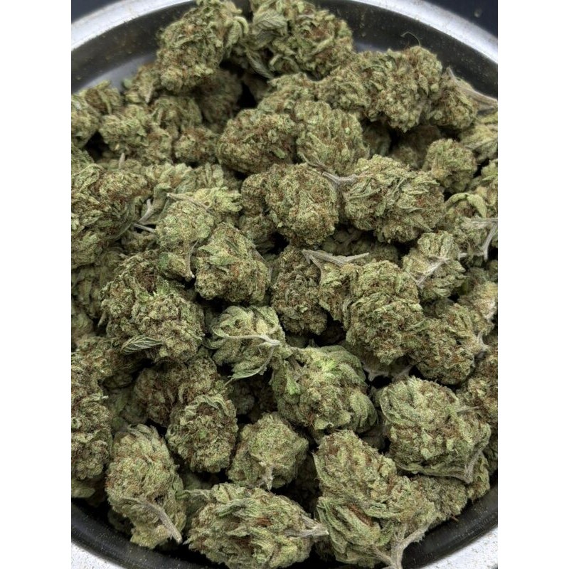 Sugar Show Mid Grade | ไฮบริดซาติว่า กรุงเทพฯ