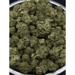 White Iverson Mid Grade | ไฮบริดอินดิก้า กรุงเทพฯ