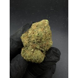 Cereal Milk Top Shelf | ไฮบริด THC 22% กรุงเทพฯ