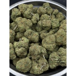 Cereal Milk Top Shelf | ไฮบริด THC 22% กรุงเทพฯ