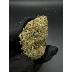 Diamond OG Top Shelf | อินดิก้า THC 22% กรุงเทพฯ