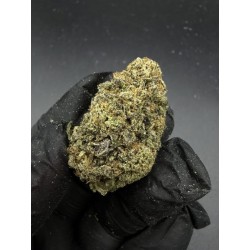 London Poundcake Top Shelf | อินดิก้า THC 24% กรุงเทพฯ