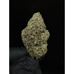 Sweedz Flowers Top Shelf London Poundcake