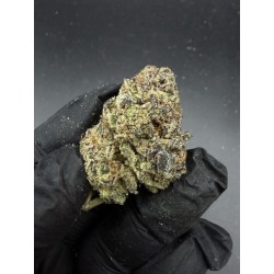 The Woah Top Shelf | ไฮบริด THC 23% กรุงเทพฯ