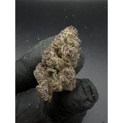 Blockberry Exotica | ไฮบริด THC 28% กรุงเทพฯ