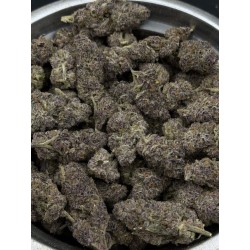 Blockberry Exotica | ไฮบริด THC 28% กรุงเทพฯ