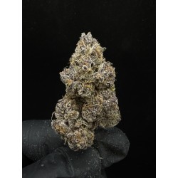Sweedz Flowers Exotica Blockberry