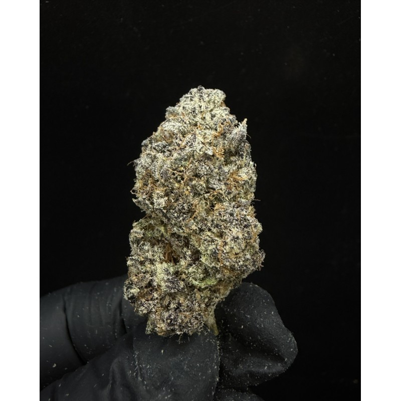 Sweedz Flowers Exotica Tropical Rainbow