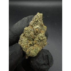 Zapplez Exotica | อินดิก้า THC 26% กรุงเทพฯ