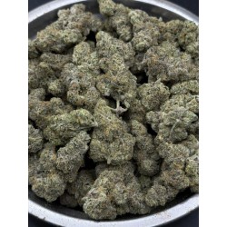 Zapplez Exotica | อินดิก้า THC 26% กรุงเทพฯ