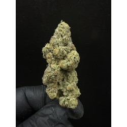 Sweedz Flowers Exotica Zapplez