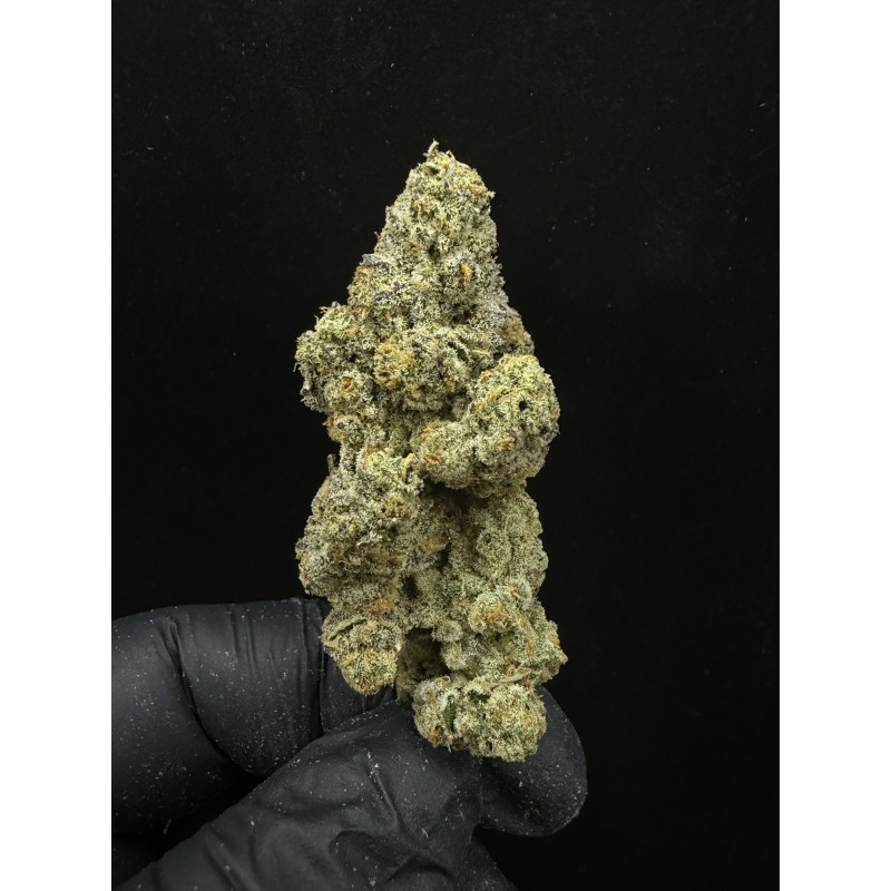 Sweedz Flowers Exotica Zapplez