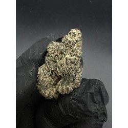 Cinnamon Milk Exotica | ไฮบริดอินดิก้า THC 26%