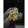 Goofiez Exotica | ไฮบริด THC 27% กรุงเทพฯ