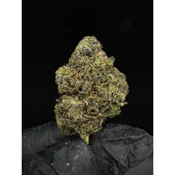 Sweedz Flowers Exotica Goofiez